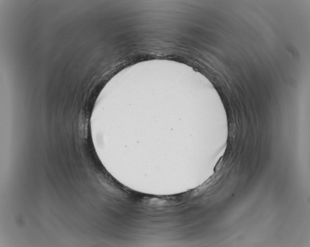 X0000111660180200908141321