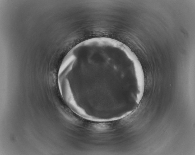 X0000111660183200908141321