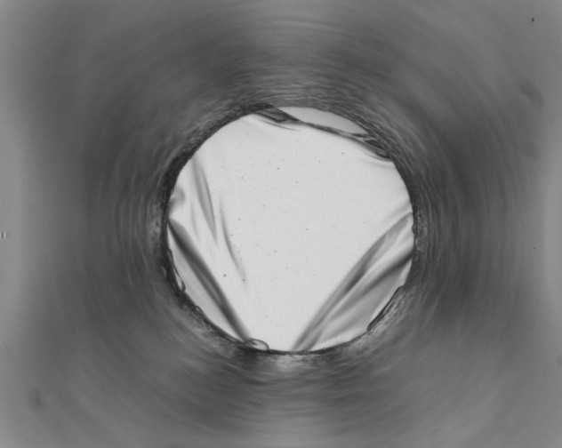 X0000111660184200908141321