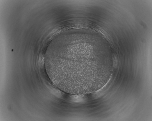 X0000111660191200908141322