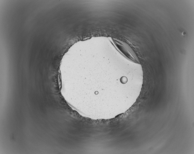 X0000111660192200908141322