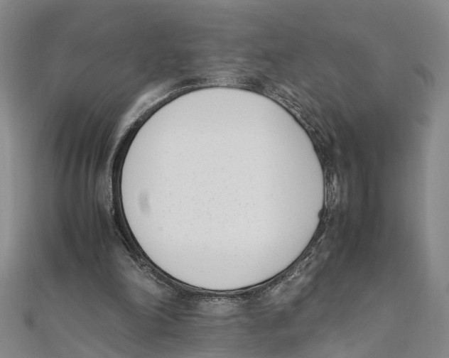 X0000111660198200908141321