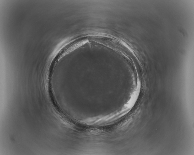 X0000111660199200908141321