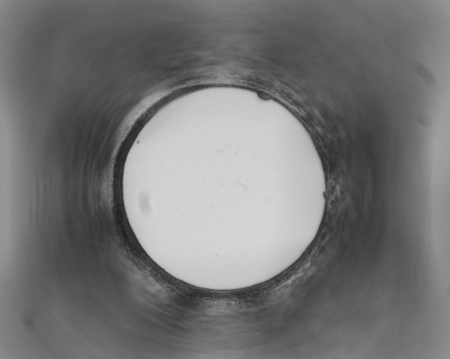 X0000111660200200908141321