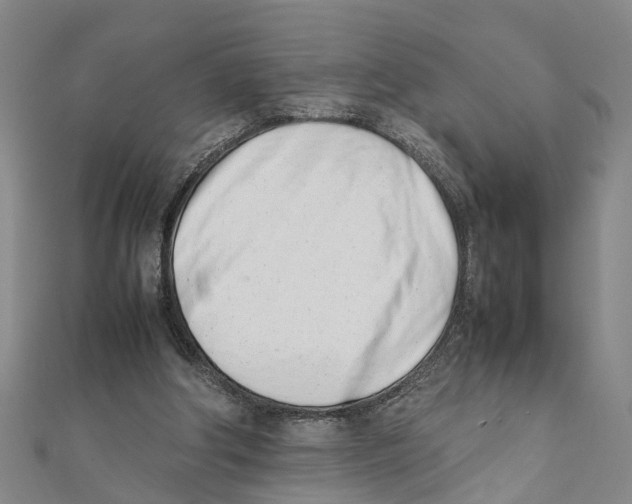 X0000111660202200908141321