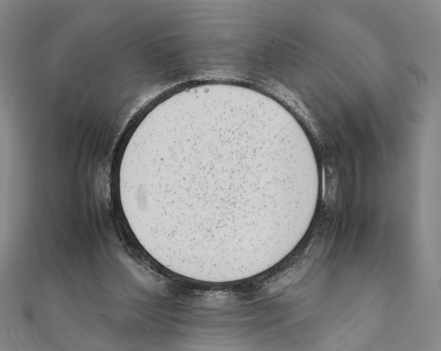 X0000111660204200908141321