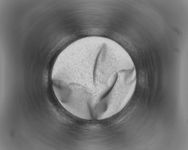 X0000111660206200908141321