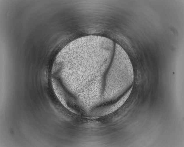 X0000111660210200908141321