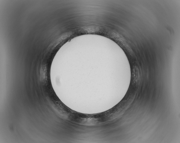 X0000111660212200908141321