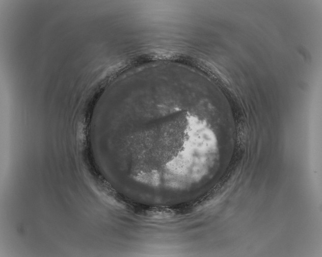 X0000111660215200908141321