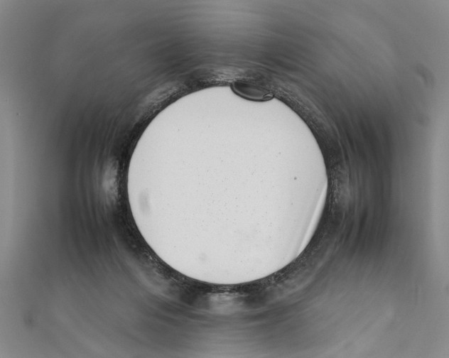 X0000111660216200908141321