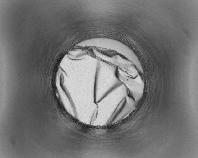 X0000111660217200908141321