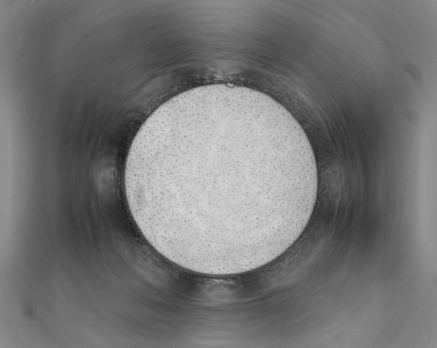 X0000111660222200908141321