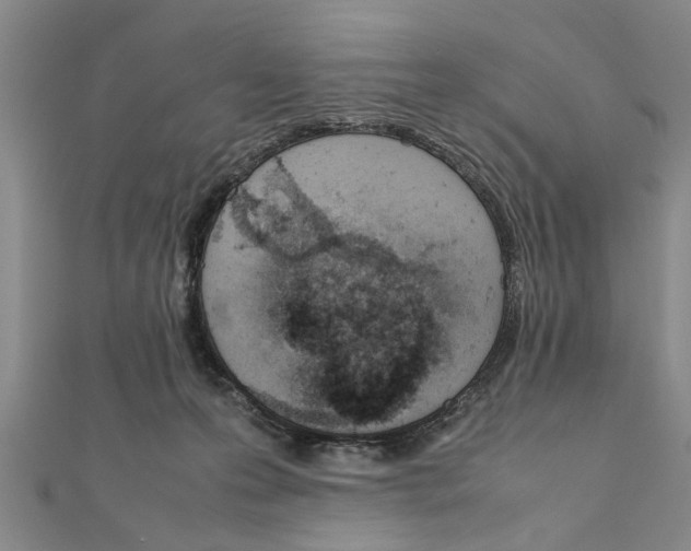 X0000111660223200908141321