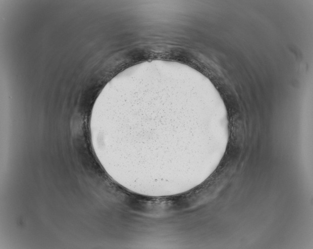 X0000111660225200908141321