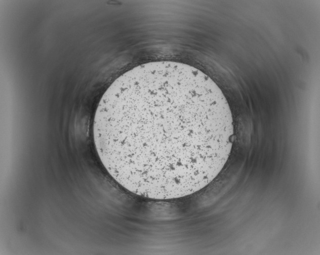 X0000111660230200908141320