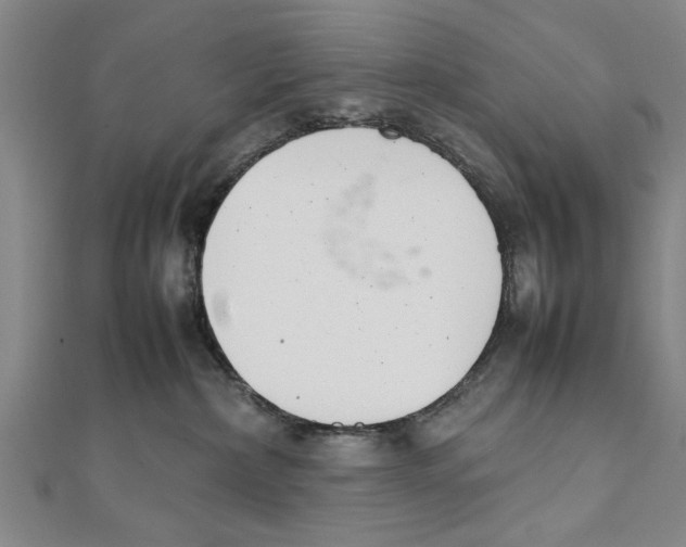 X0000111660236200908141320