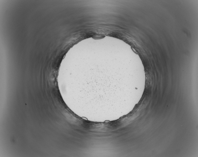 X0000111660237200908141320