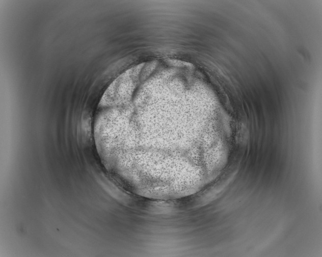 X0000111660238200908141320