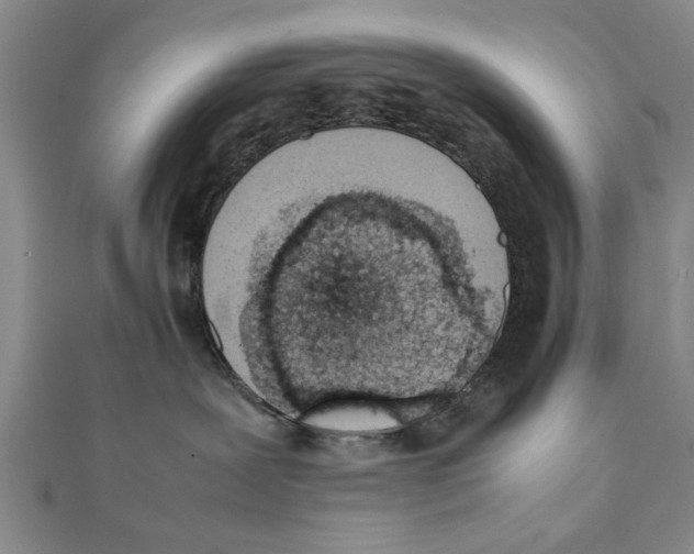 X0000111660239200908141320