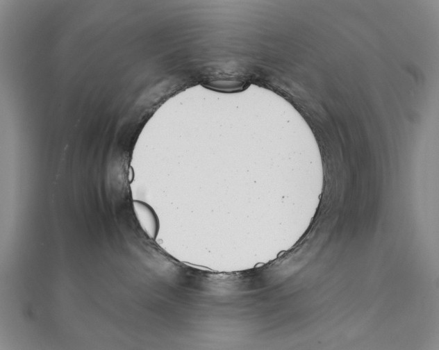 X0000111660240200908141320