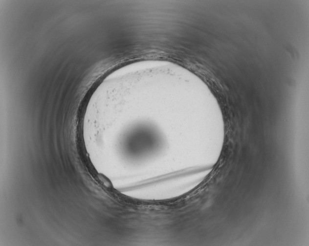 X0000111660242200908141320