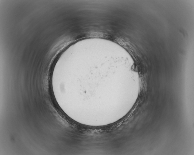 X0000111660243200908141320