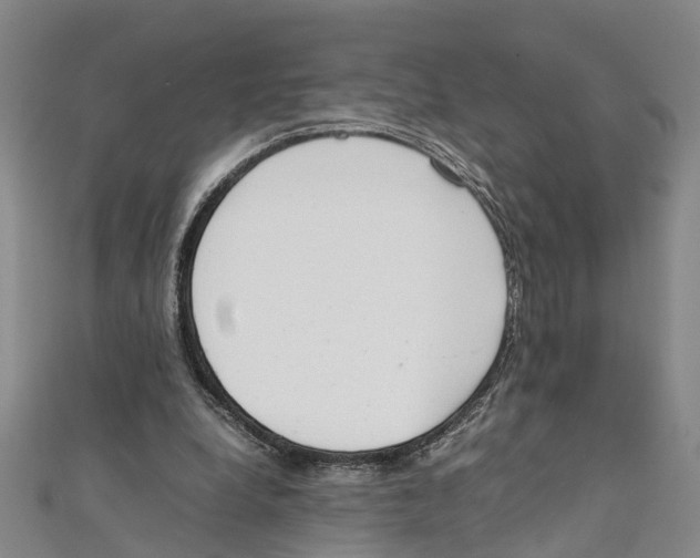 X0000111660248200908141320