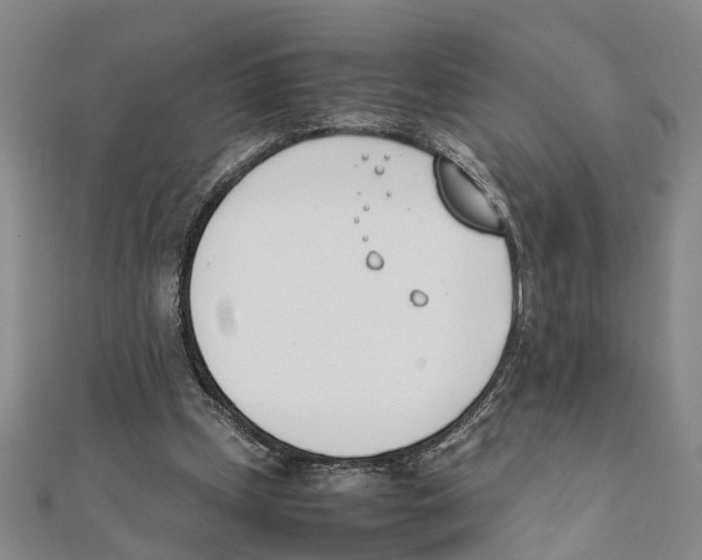 X0000111660249200908141320