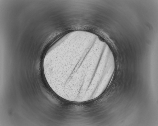 X0000111660250200908141320