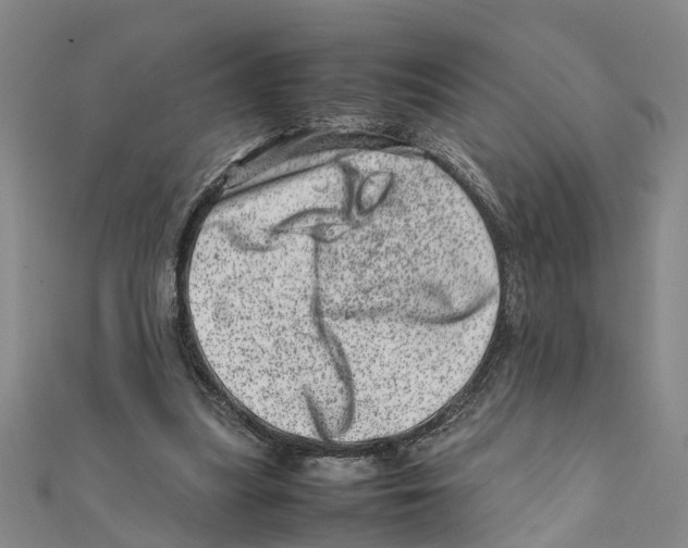 X0000111660251200908141320