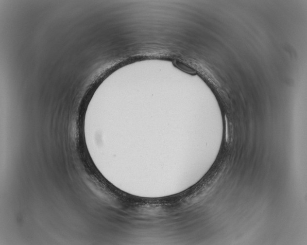 X0000111660252200908141320