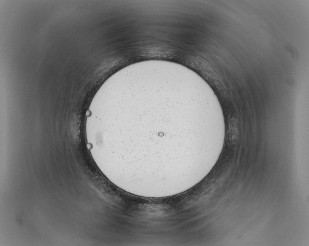 X0000111660255200908141320