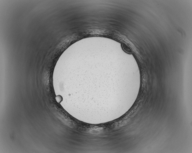 X0000111660257200908141320