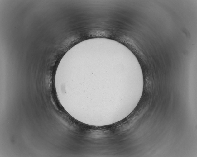 X0000111660259200908141320