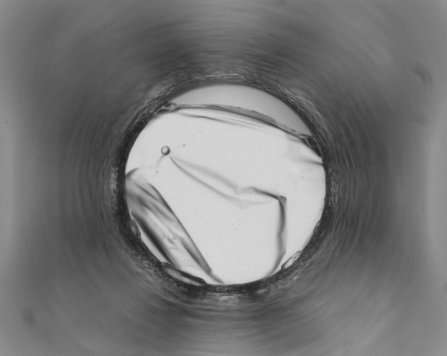 X0000111660260200908141320