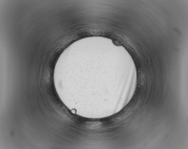 X0000111660266200908141320