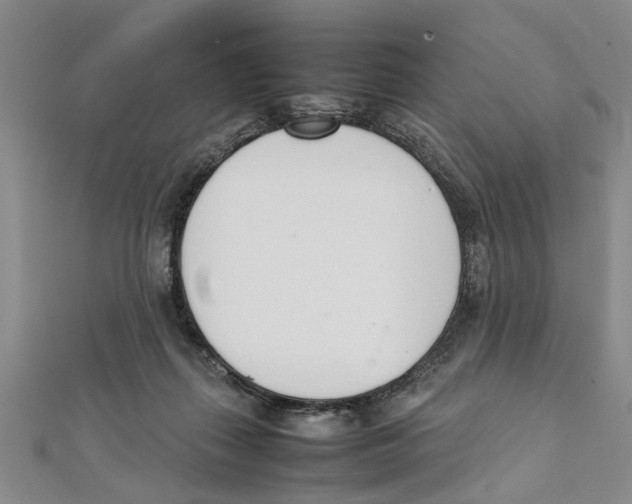 X0000111660267200908141320