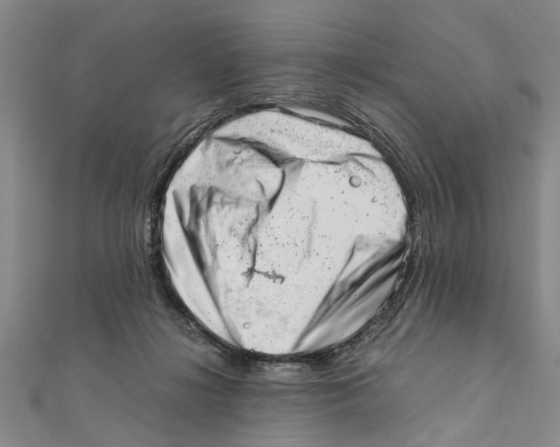 X0000111660268200908141320