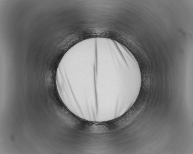 X0000111660270200908141320