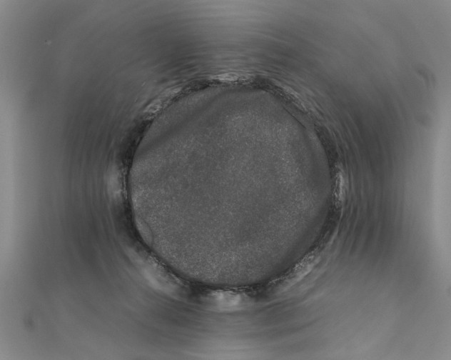 X0000111660272200908141320