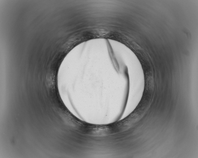 X0000111660274200908141320