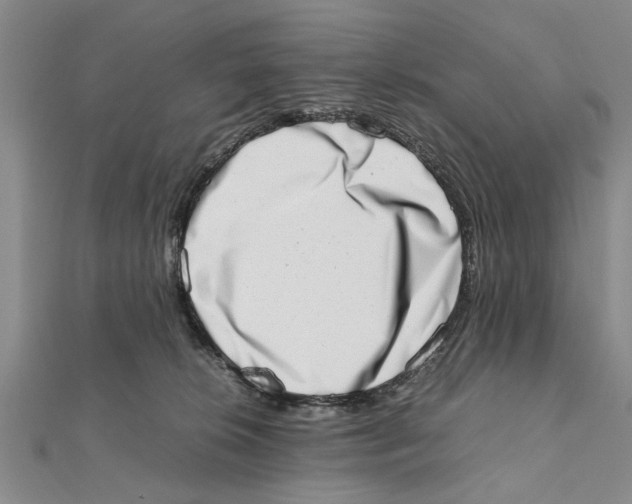 X0000111660276200908141320