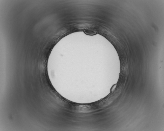 X0000111660277200908141320