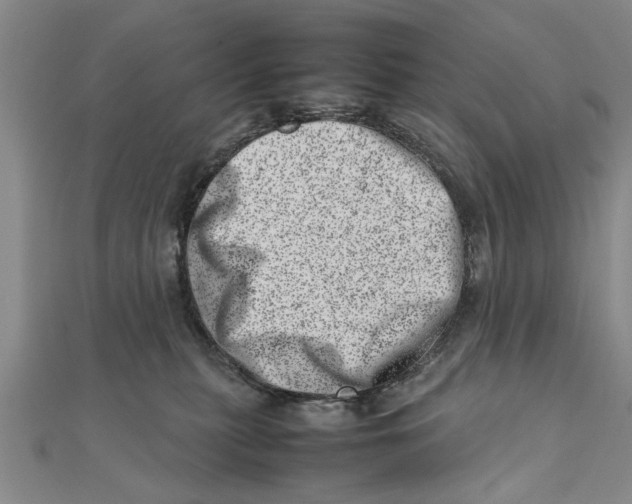 X0000111660279200908141320