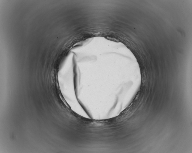 X0000111660280200908141320