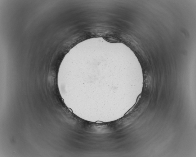 X0000111660283200908141320