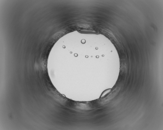 X0000111660285200908141320