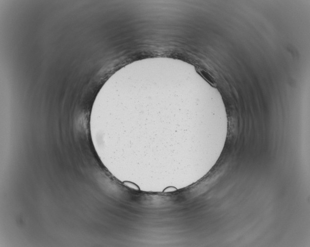 X0000111660286200908141320