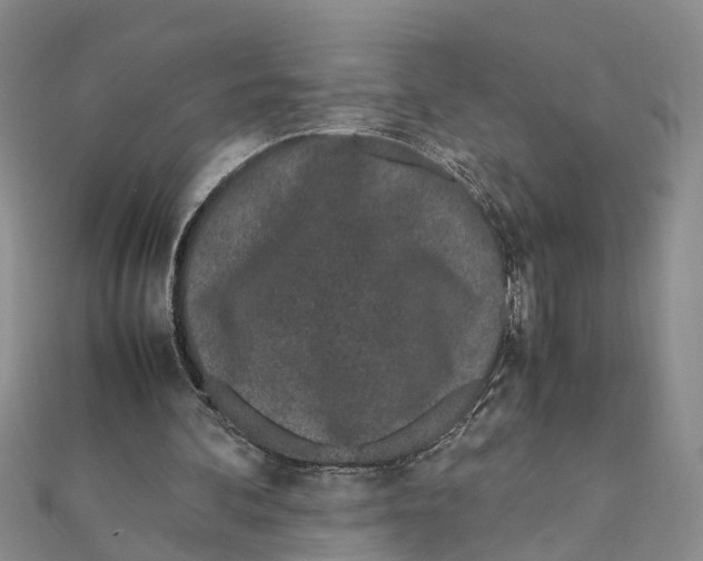 X0000111660292200908141319